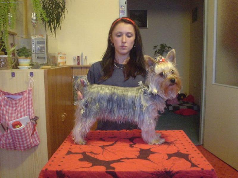 Foto: Nelinka-P��prava na v�stavu