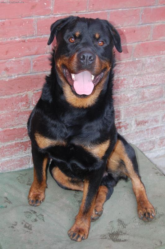 Foto: um�m kr�sn� �t�n�tka!-Jmenuji se JACK