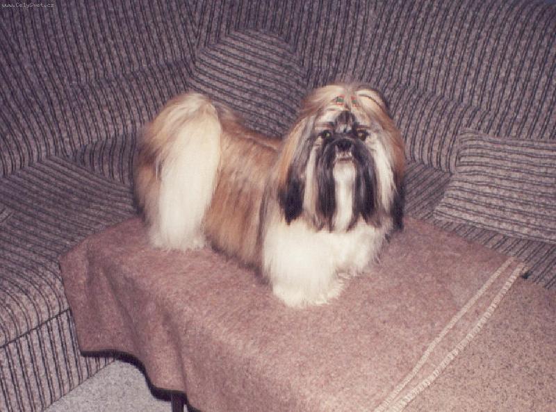 Foto: Akim Tibetsk� Sk��tek