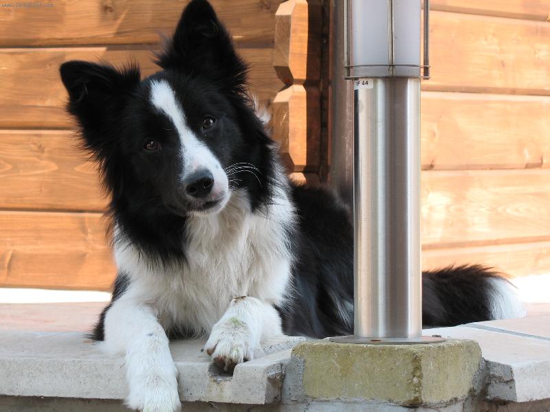 Foto: Tady r�da odpo��v�m