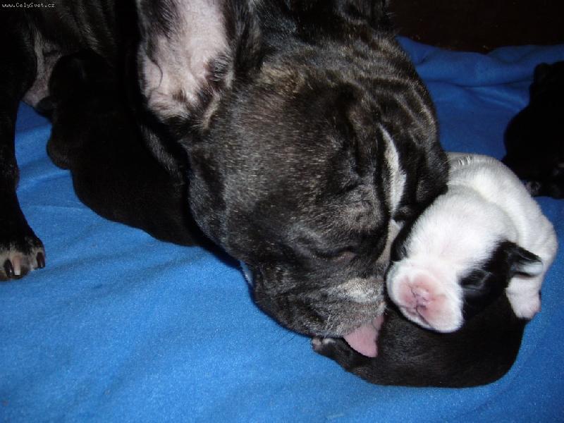 Foto: Kety a Happy.-Mate�sk� l�ska.