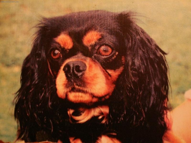 Foto: Bambulka-Na�e zlat��ko.