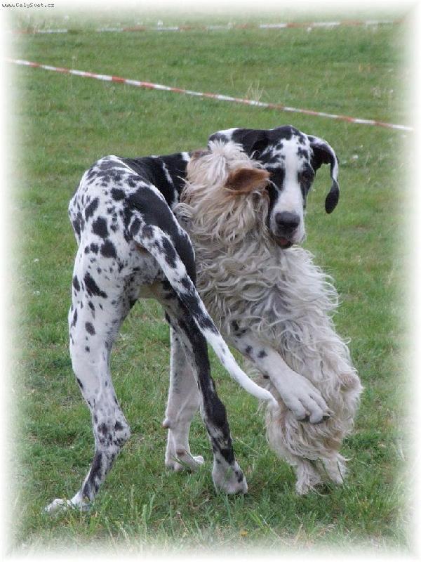 Foto: L�ska na prvn� pohled