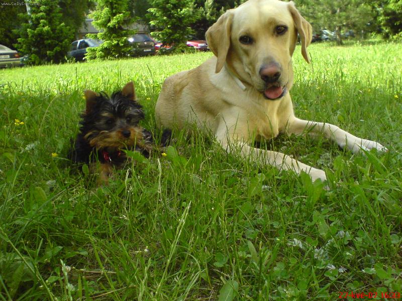 Foto: B�ra s Ed�kem-Letn� sed�nek