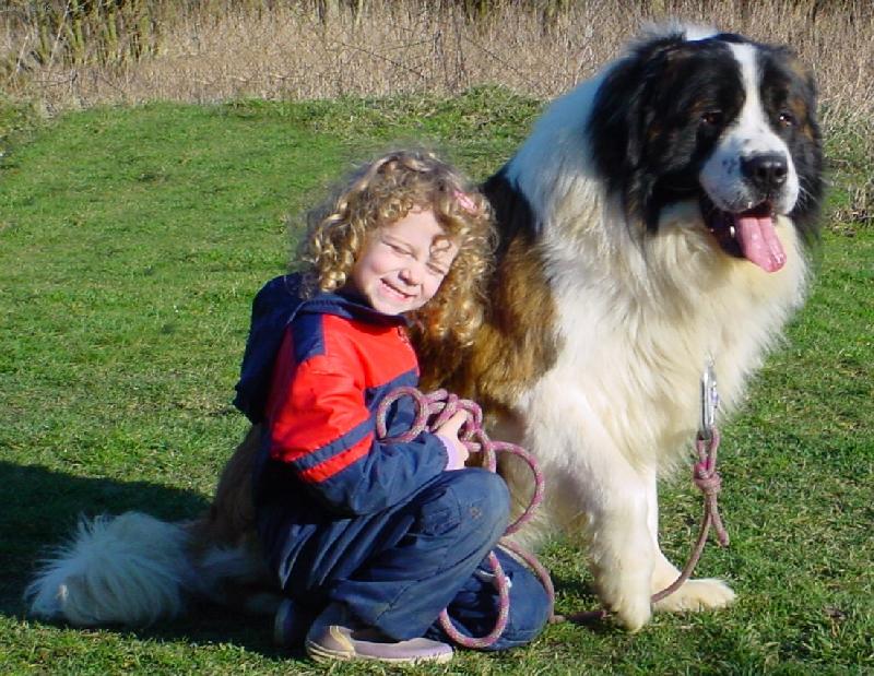 Foto: �eleznyj Blesk - import Rusko - 2 roky