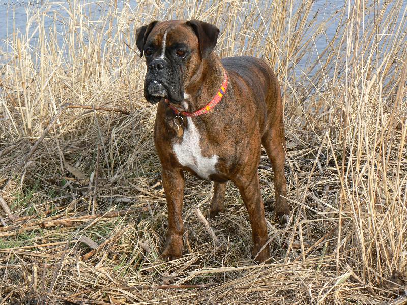 Foto: Blondy v r�kos�