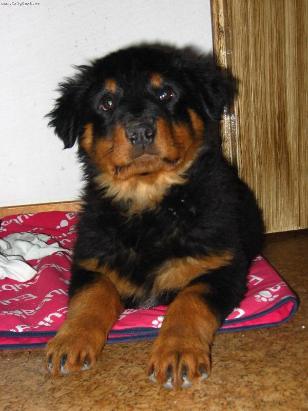 Foto: j� jsem Sany-Sany