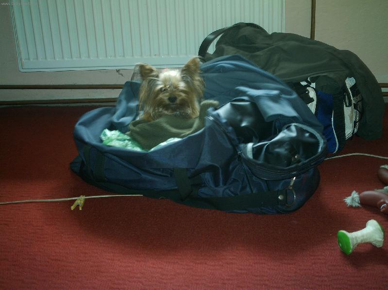 Foto: Monty-jsem u� p�ibalen