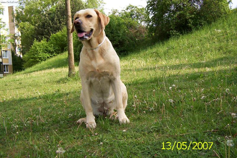 Foto: B�ra-op�t vyhl�� co se d�je