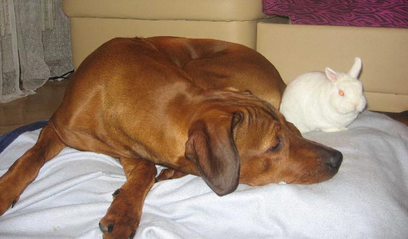 Foto: Alf Kuba-13 m�s�c�