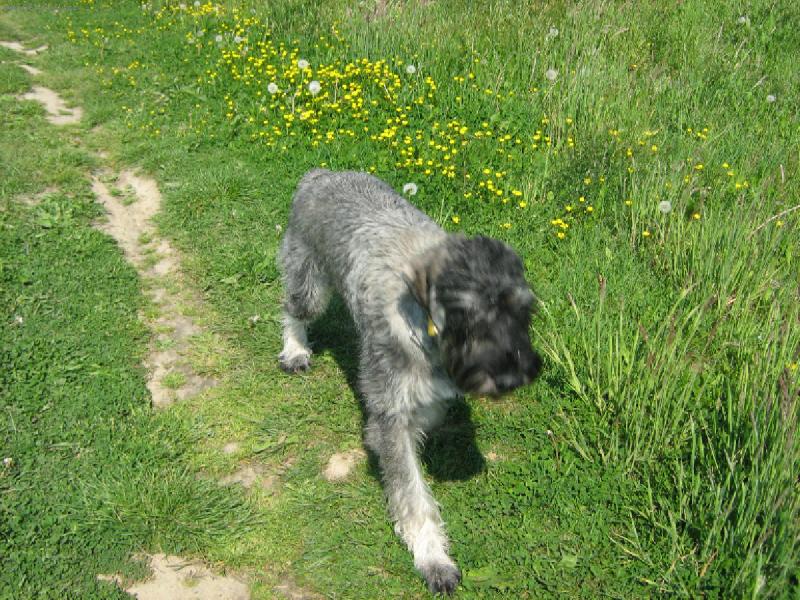 Foto: Cassandra Chov Pauli-Na proch�zce