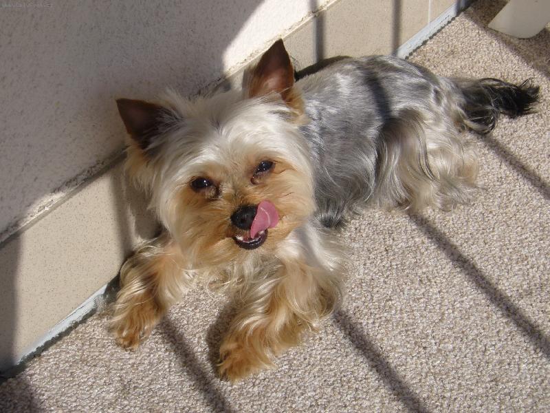 Foto: michell-to byla ale m�amka :-)