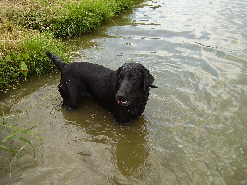 Foto: Jess ve vod�