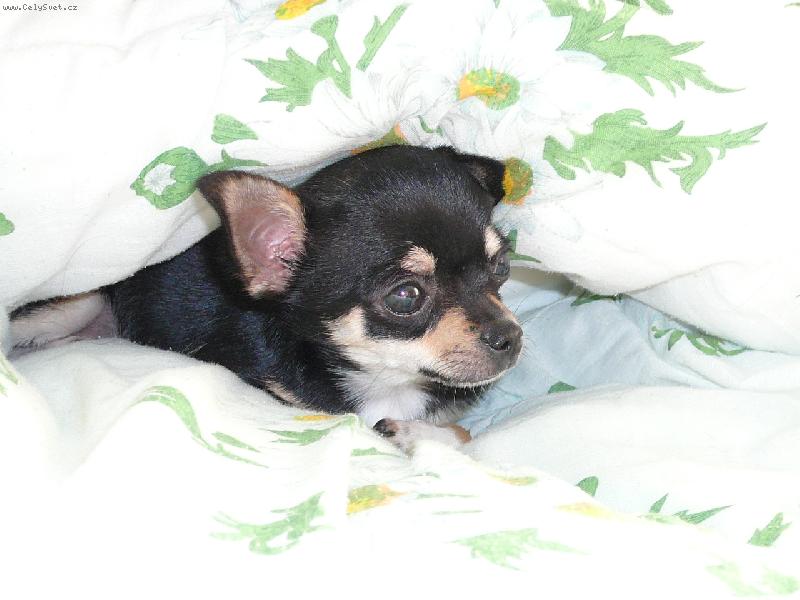 Foto: �iko...-�e m� nenajde�???