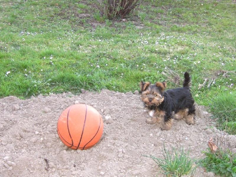 Foto: n� Max�k-na louce