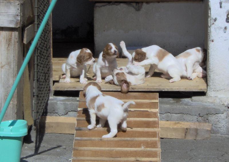 Foto: �t�nata-st��� �t�nat 5 t�dn� a objevuj� sv�t