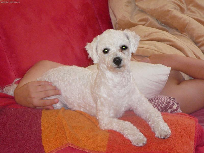 Foto: jsem ost��han�-Angie