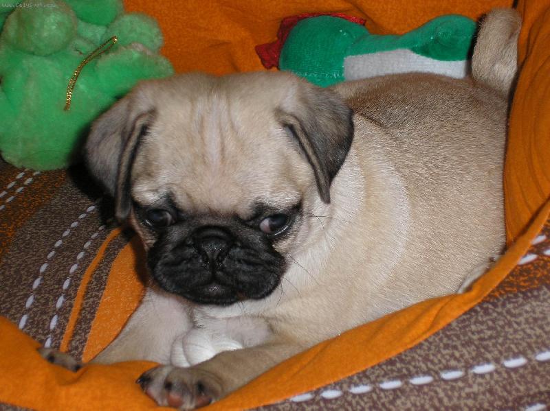 Foto: Je�t� malink� Ebinka