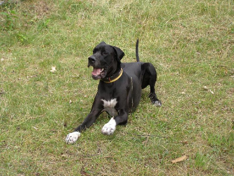 Foto: Poj� si hr�t