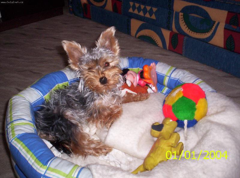 Foto: Megi a jej� p��tel� z pel�ku