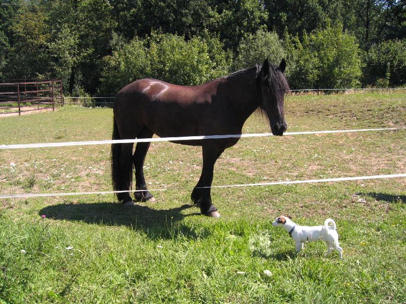 Foto: Annie u kon�