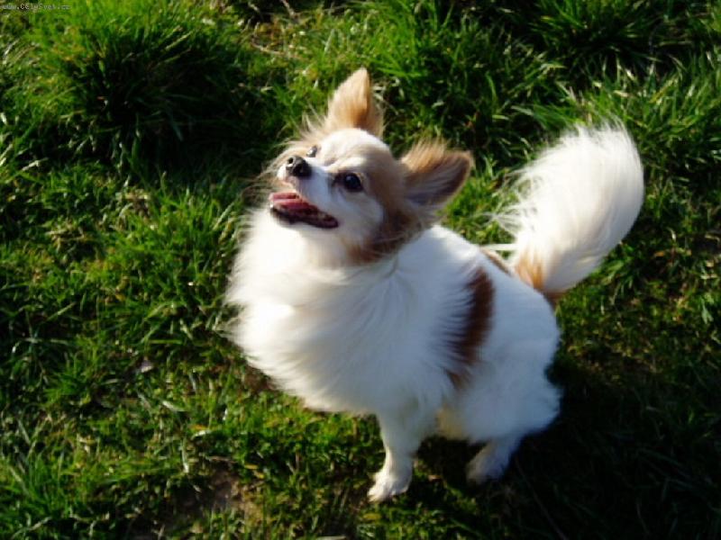 Foto: n� Vikou�ek-Zlob�tko