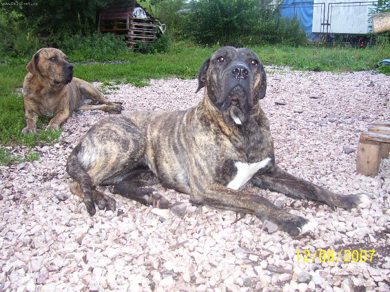 Foto: rann� siesta