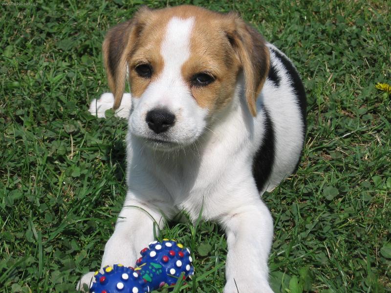 Foto: S�ra-Na�e mimi =)