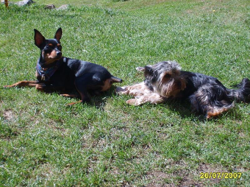 Foto: s k�mem Osk�rkem