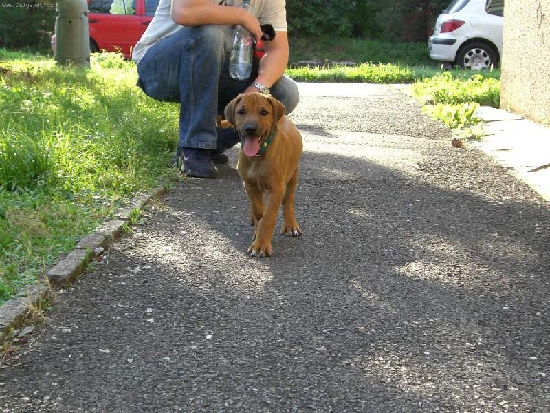 Foto: Danny-Prvn� vych�zka