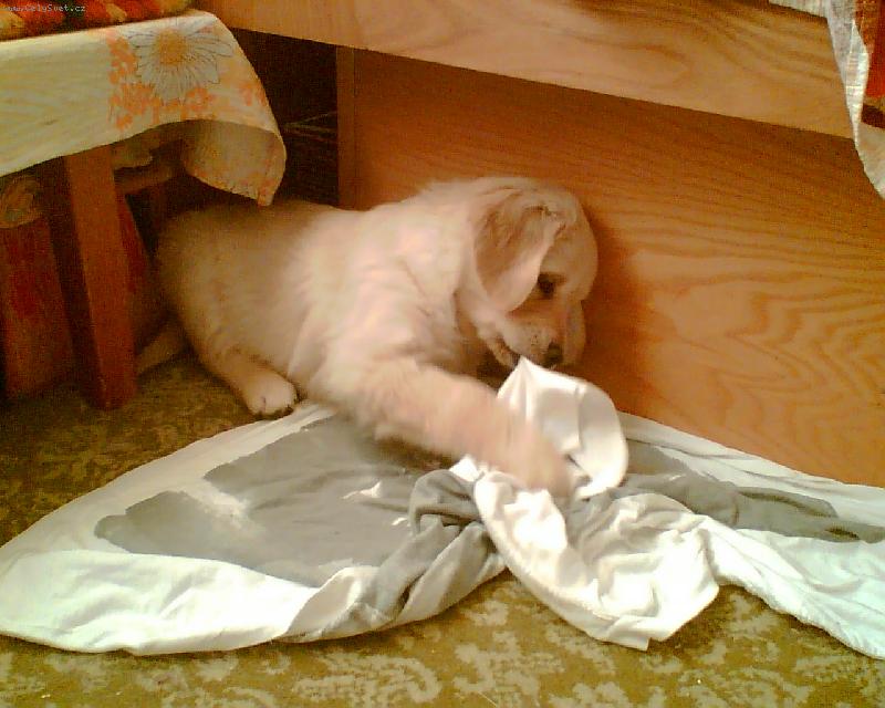 Foto: Kira-M�j nov� mil��ek