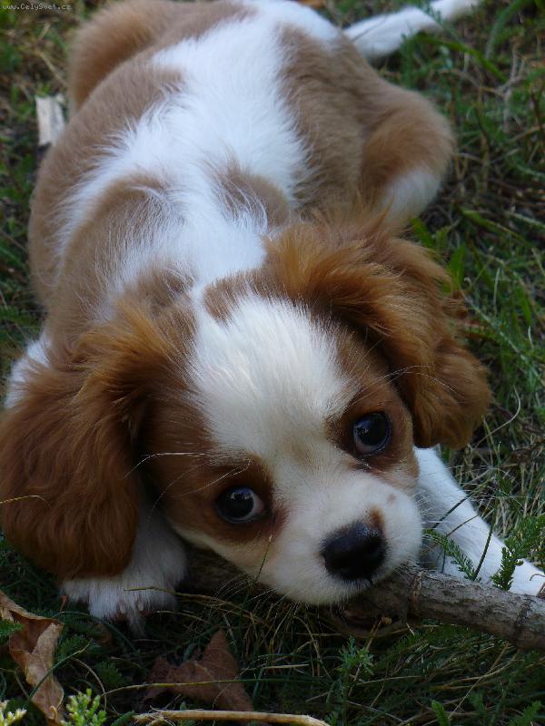 Foto: Nelly