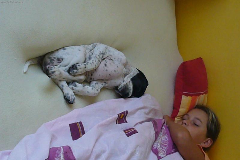 Foto: Gina-Linda a Gina