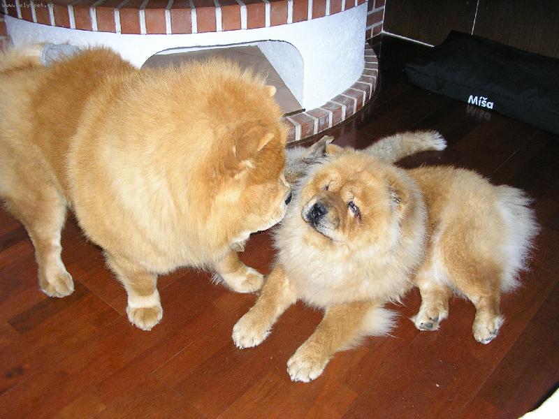 Foto: je�t� krok a.....-....uvid�