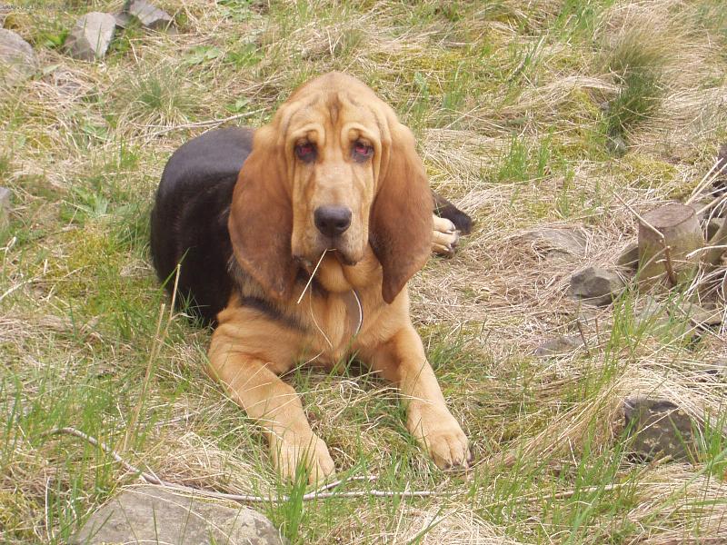 Foto: Na v�let�-Blair Iseb