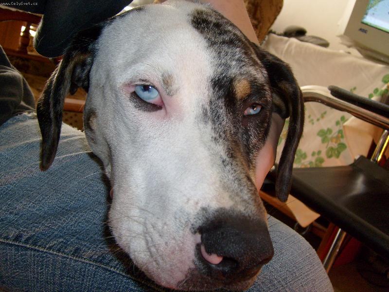 Foto: To m�m,ale o�ka??