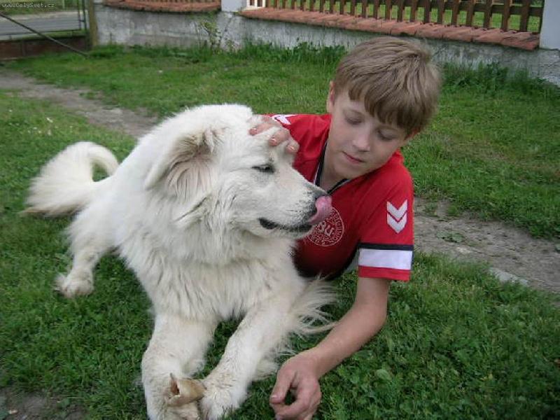 Foto: Sisi Biely d�mon-�uva� a jeho d�t�