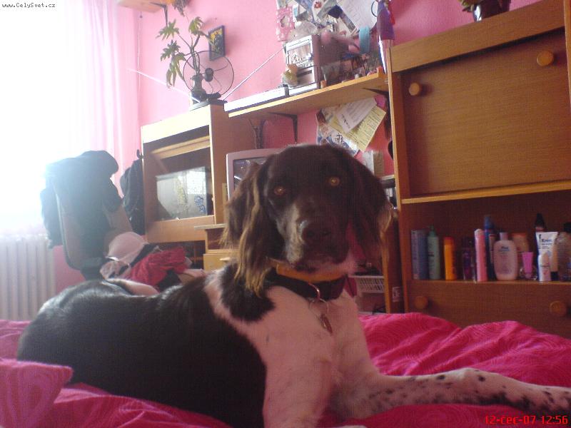 Foto: Argo ze Z�humenice- 10 m�s�c�