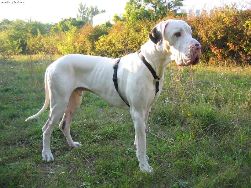 Foto: Campbell QuincyEtc.-14 m�s�c�