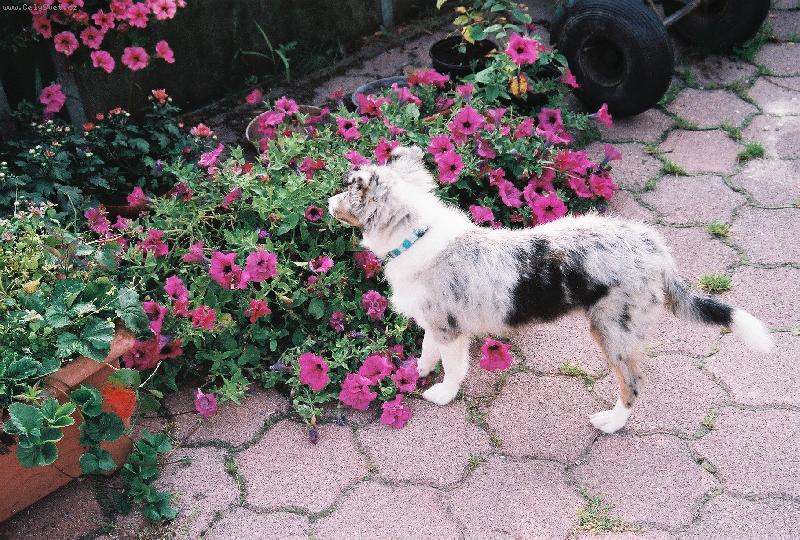 Foto: Zen�k mezi kyti�kama