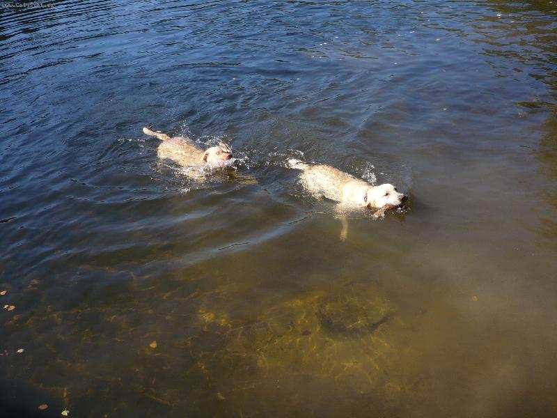 Foto: A �e t� chyt�m