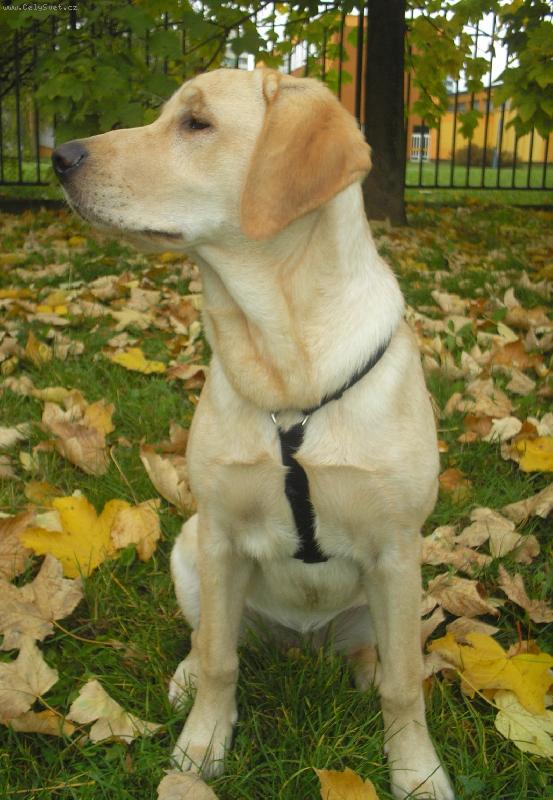 Foto: 5-m�s�c�