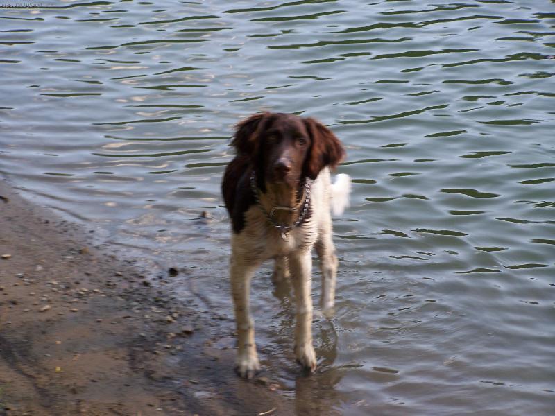 Foto: Atos - Lord Eben-Ezer