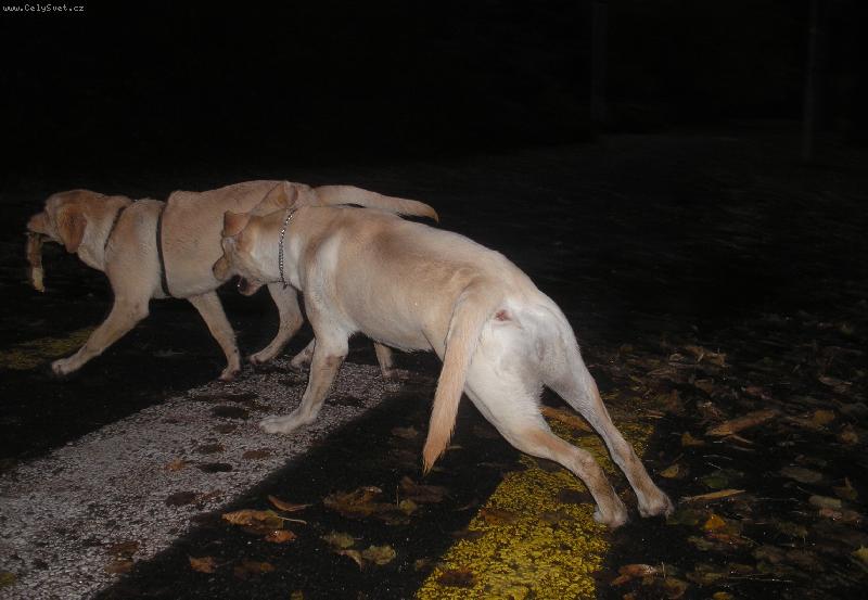 Foto: Chy� m�-:)