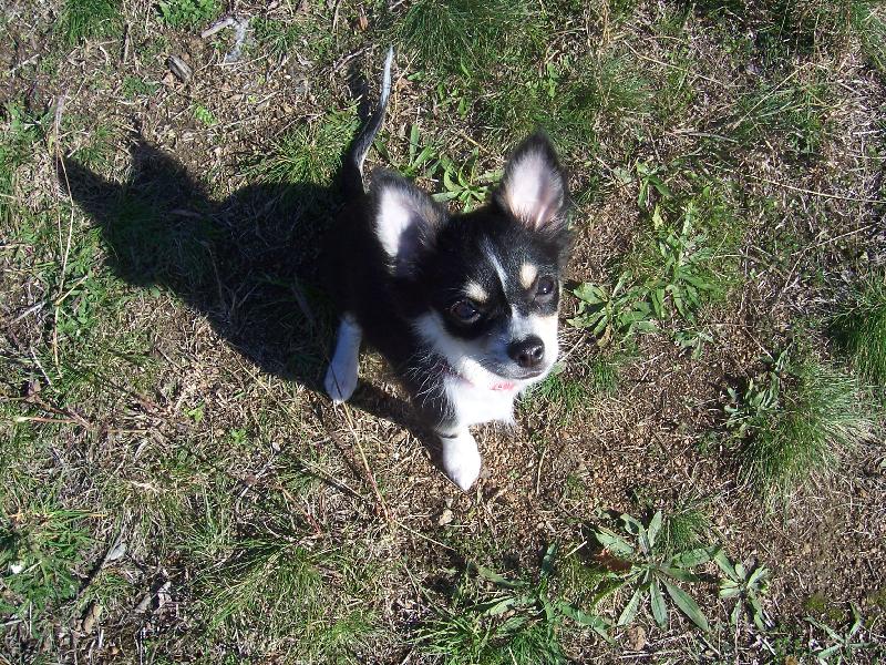 Foto: Gerri na v�let�