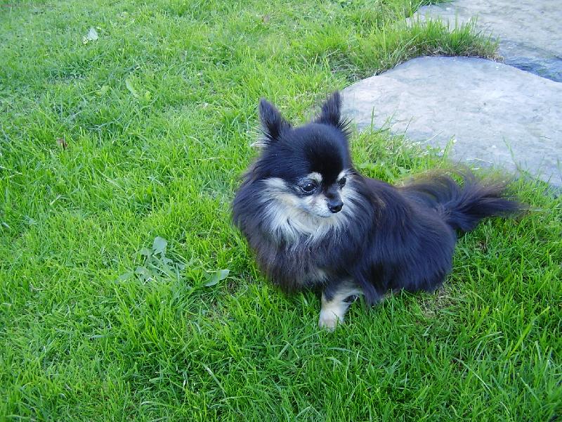 Foto: Timmy-Trochu se styd�m