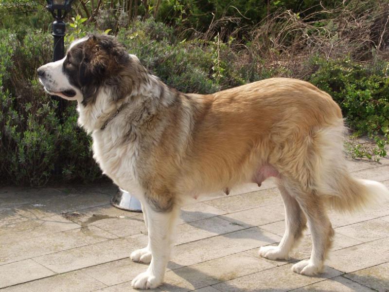 Foto: B�ra - v�ce na www.uandyho.blog.cz-Bar�a p�i �t��atech 2006