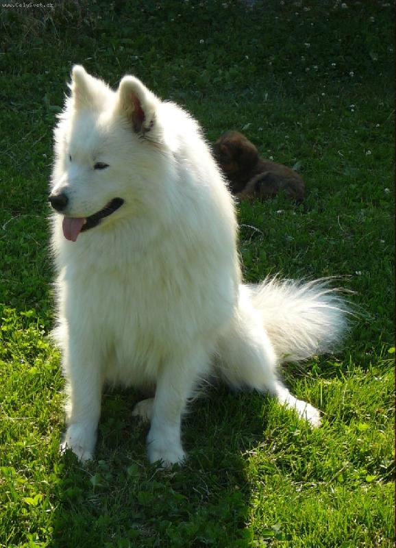 Foto: Andy - v�ce na www.uandyho.blog.cz-Andy hl�d� malou �ju :)