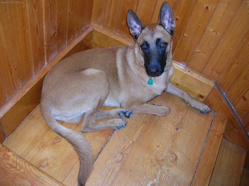 Foto: vid�te m�? nespl�v�m co....-kobl�ek z Vizovic