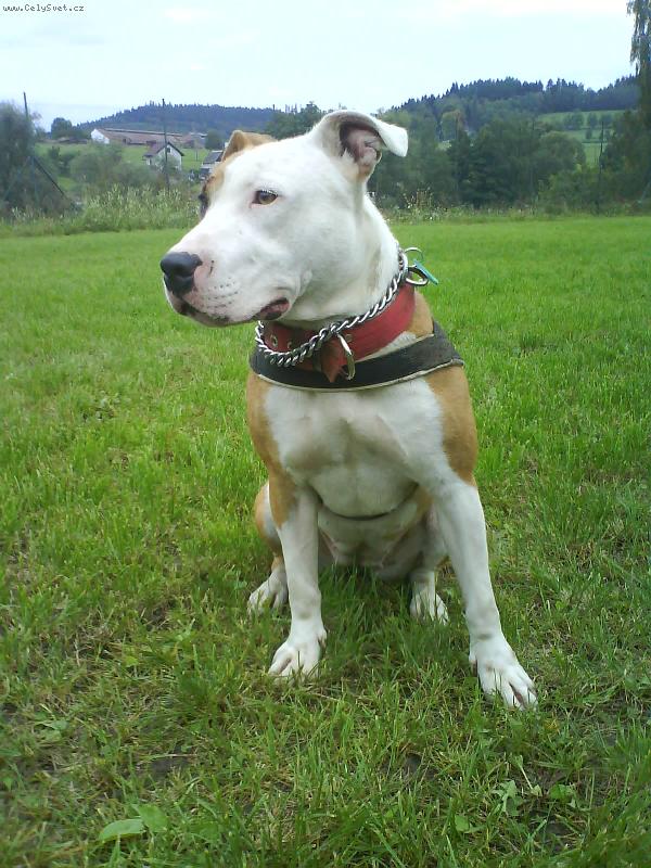 Foto: A-Kimma/ A.l.u.n.k.a